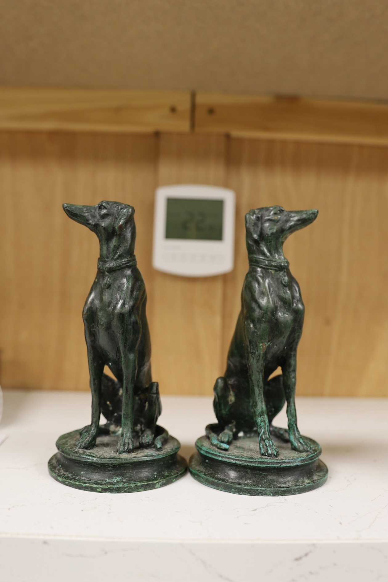 A pair of bronze seated whippets, 16.5cm high. Condition - fair